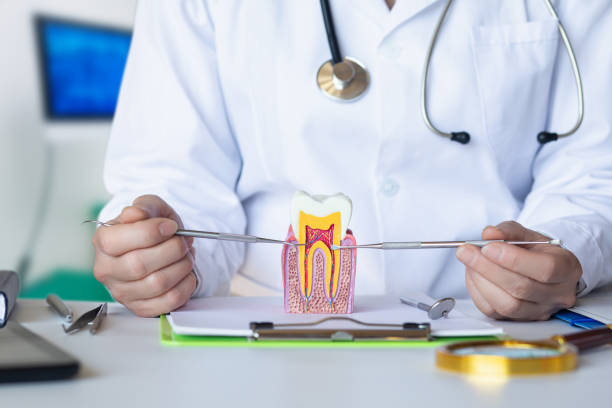 Best Emergency Root Canal Treatment in Frederick, CO